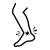 caviglia